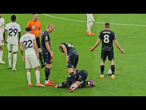 Premier League Hospitality: Tottenham Hotspur's Ultimate Fan Experience