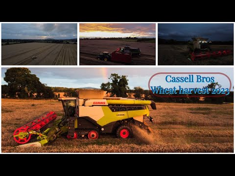 Cassell Bros ~ wheat harvest 2023 ~ Claas lexion 8700 John Deere 6r250 ~4k