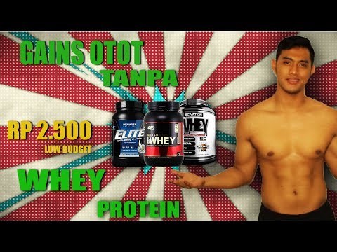 Menemukan pelangsing celana pendek sabuk jersey Banyak protein lemak karbohidrat di meja makanan