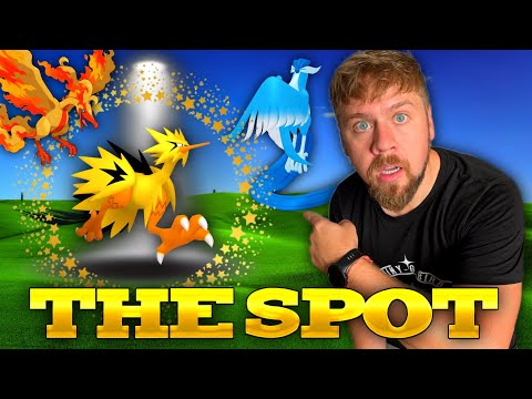 Quick Catching Galarian Birds and How To Find Them!