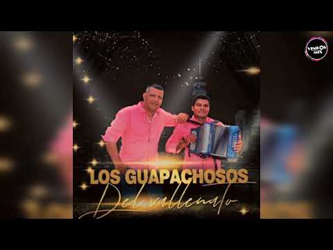 Los Guapachosos Del Vallenato – El Cantinero 🪗