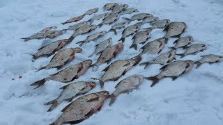 В зимний период ловля леща