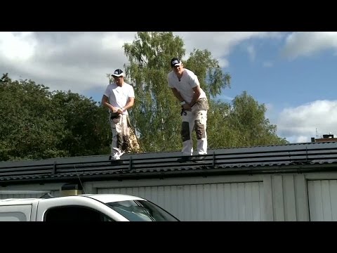 De Vet Dus galna takkupp - Utklädda till målare - Spring! (TV4)