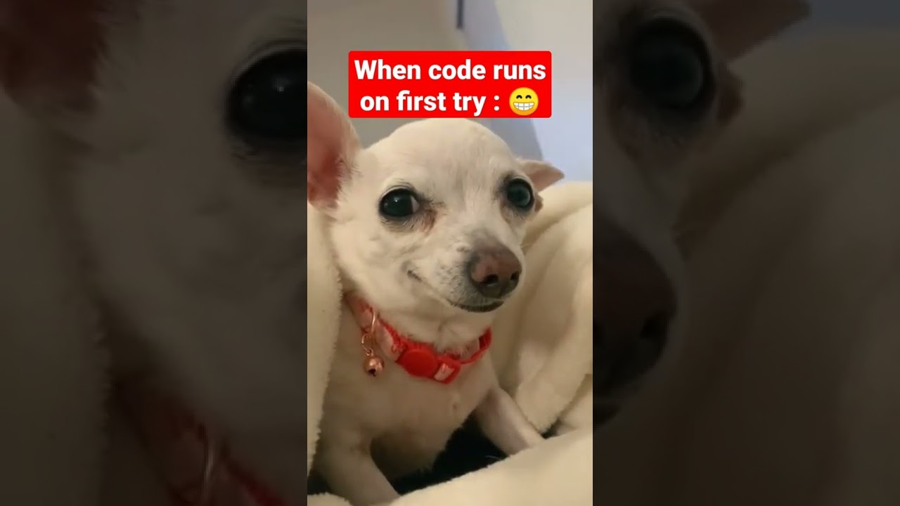 When code runs on first try:😁 #shorts #memes #programmingmemes #codingmemes #coding #statuswhatsapp