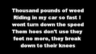 Reefer Party - Wiz Khalifa ( Lyrics On Screen )