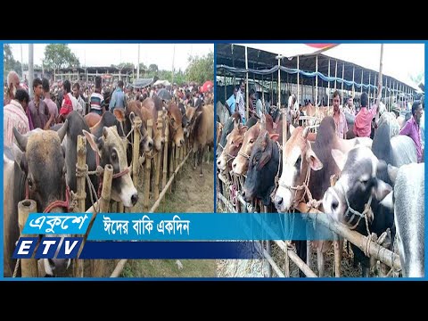 জমজমাট কোরবানির পশুর হাটগুলো | ETV News