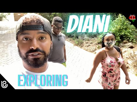 Most Fun Things to Do in Diani 🇰🇪