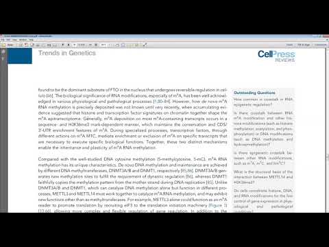 20200406 The biogenesis and precise control of RNA m6A methylation