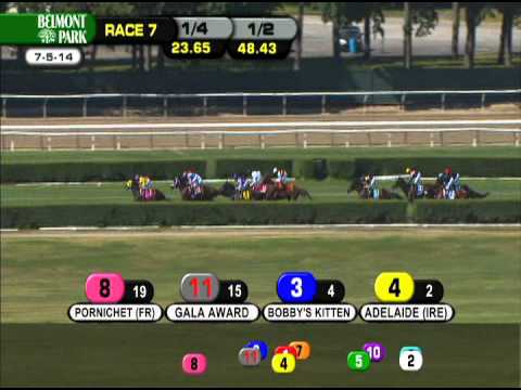 Mr Speaker - 2014 Belmont Derby (G1)