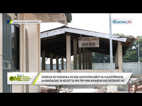 One North Central Luzon: Schedule ng pagdadala ng mga kakataying baboy sa slaughterhouse, ini-adjust