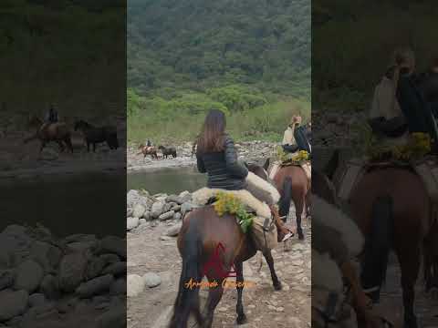 🥾⛰️ *De Tafí del Valle a Siambón: un camino que se siente en el alma.*