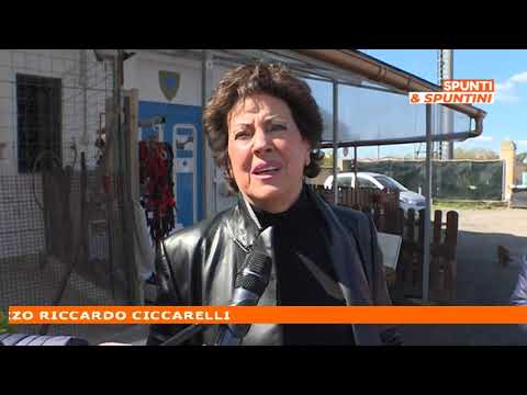 Spunti & Spuntini: Riccardo Ciccarelli in collegamento dal canile comunale di Arezzo