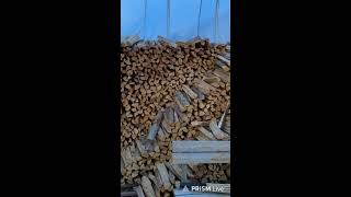 Download lagu Live streaming of factory proccessing making chopstick. 10 june 2026🔴 mp3 Download lagu Live streaming of factory proccessing making chopstick. 10 june 2026🔴 mp3