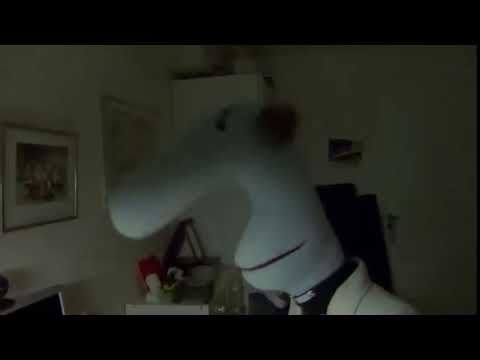 Kjell: Peter- smart person som skrivit den här pärmen