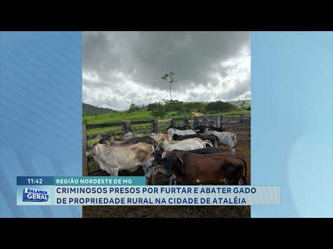 Ataléia: Criminosos são presos por furtar e abater gado em propriedade rural.