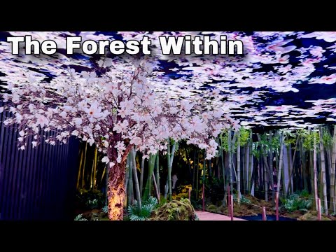 The Forest Within | New Immersive Korean Art Installation in New York City