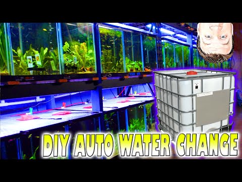 DIY Auto Water Change System: Avoid My Mistakes