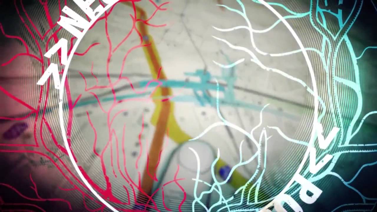 CHAOS;CHILD Opening Movie 『カオスチャイルド』