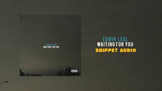 Edwin Leal - Waiting For You (Snippet Audio)