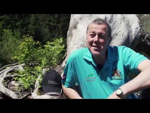 Vorbereitungsturnier für die EBHC 2016 • 4.-7.Juni 2015