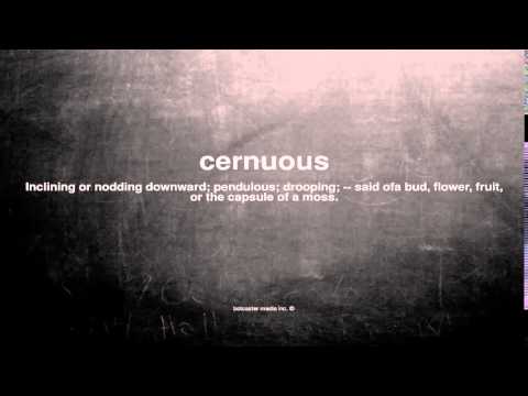 What does cernuous mean