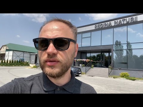 Călătoriile cu Gust... deGUSTĂ miere demnă de stelele michelin de la Regina Naturii din Costești