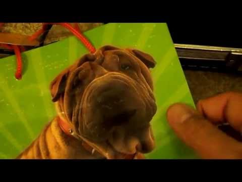 Joyo Quattro Delay with harmonica