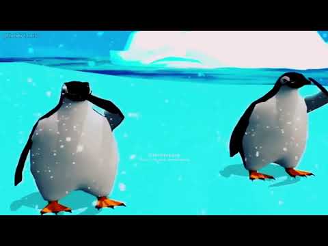 Pinguins dançando é gol do rony