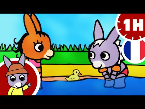 🥰 Trotro et ses amis les animaux 🥰 - Dessin animé pour bébé