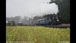 [遊記] 2024/10秋関東7日3-1 東武鐵道SL大樹拍攝