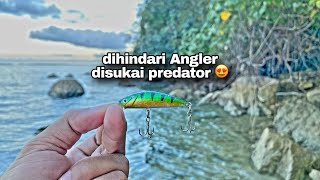 Download lagu Mancing casting pinggiran karang dangkal dengan umpan Minnow Replika 6 gram | Spot mancing uji nyali mp3