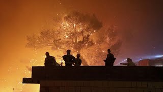 How does the EU's Civil Protection Mechanism combat wildfires?