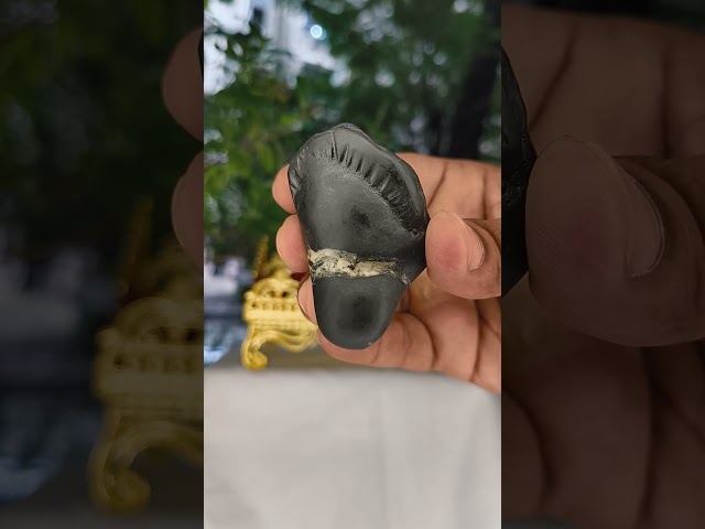 Sacred Vishnu Adwaitya Charan Paduka Shaligram video