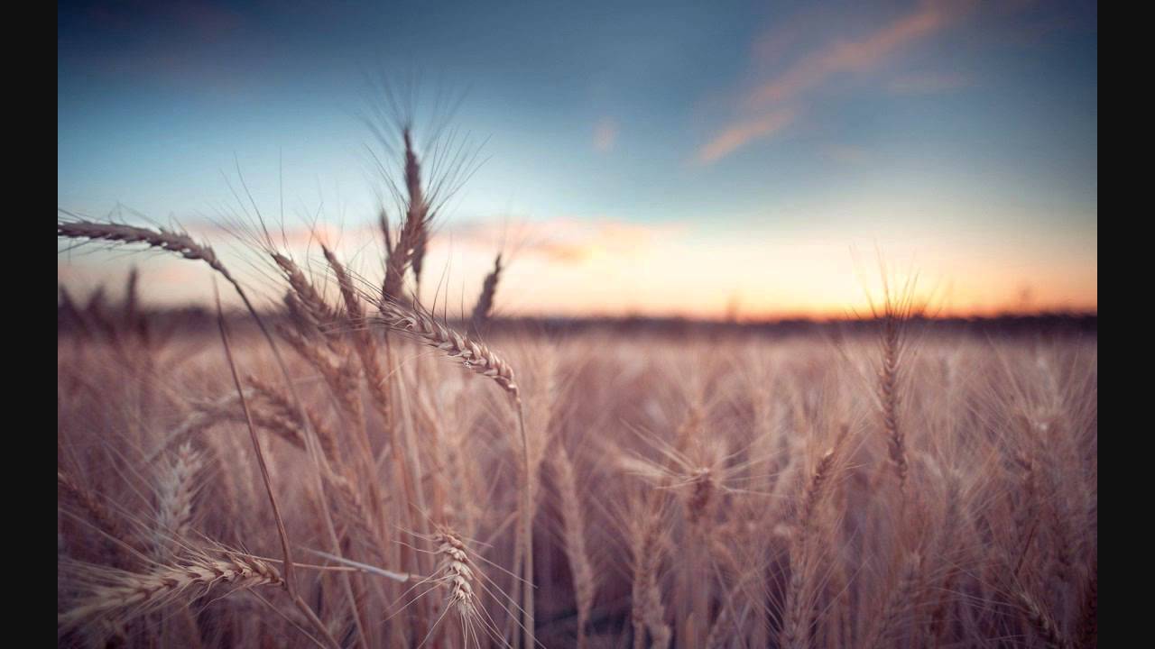 Is Duniya Mein Lyrics  | Veeru Dada | Dharmendra, Amrita Singh | Mohammed Aziz | Laxmikant Shantaram Kudalkar (Laxmikant Pyarelal), Pyarelal Ramprasad Sharma (Laxmikant Pyarelal)