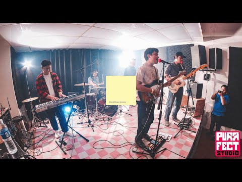 Purrfect Show  -  Viceroyz