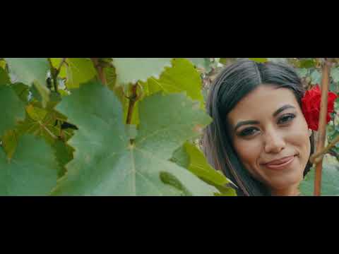 Videoclip 21