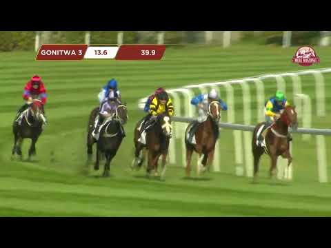 NAGRODA WESTMINSTER CARDEI – (KAT. B) 01.10.2023 - (Dzień 36; Gonitwa 3)