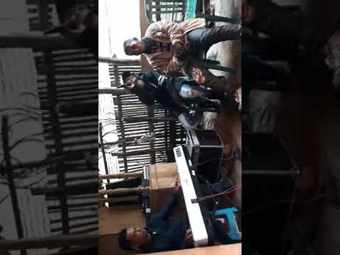 Pelaminan kelabu ardi bob samampi eleqtone