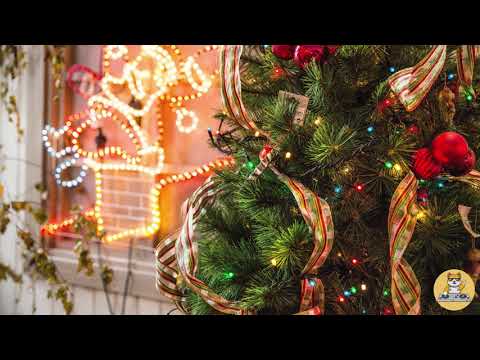 Rudolph My Deer - Of North