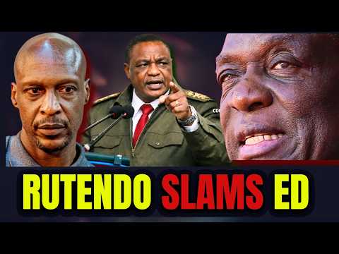 Rutendo Matinyarare speaking out against President Mnangagwa