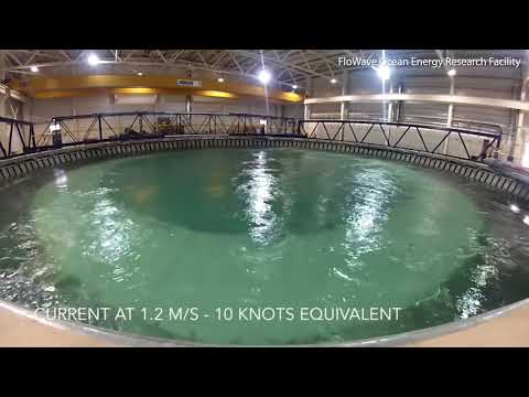 Experiment demonstrates how 'rogue waves' can be predicted