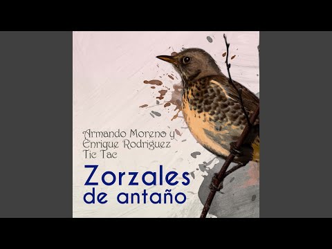 No Se Haga Mala Sangre