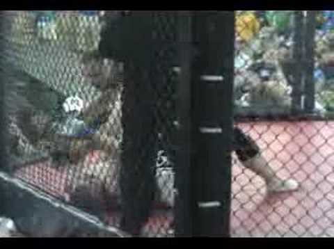 XMMA - Josh Fealy vs Charlie Arms (Round 2)