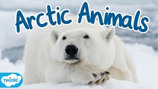 What Animals Live in the Arctic? | Where is the Arctic for Kids gameplay video by mgorham, 3:23 duration