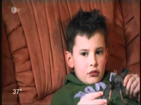 37 grad - Ist mein Kind noch normal Part 1