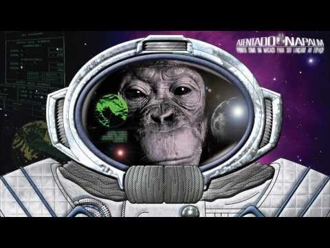Pronto Como Um Macaco Para Ser Lançado Ao Espaço (Álbum Completo) - 2013