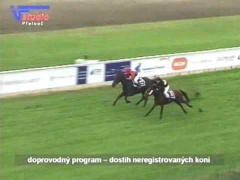8.10. 2016 - doprovodný program - dostih neregistrovaných koní