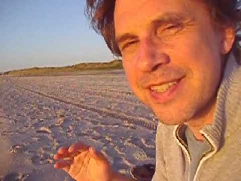 Video-Vorschau: Hier am Strand-Original vom Strand
