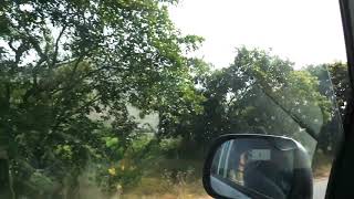 preview picture of video 'Pemandangan jalan india selatan'