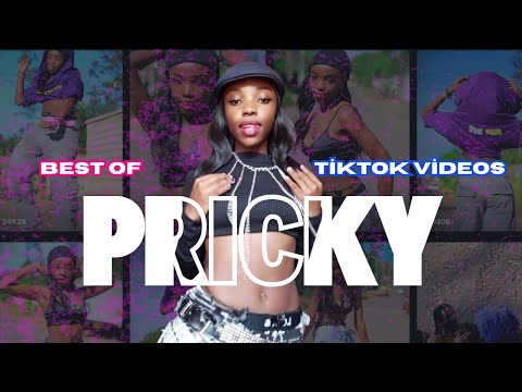 BEST OF PRICKY KENYAN TIKTOK DANCES